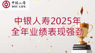 2025年全年业绩